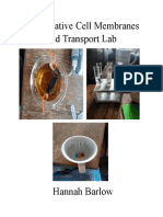 Comparative Cell Membranes and Transport Lab Report