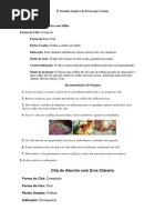 O Grande Arquivo de Ervas Que Curam