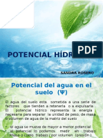 Potencial Hídrico 