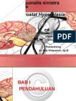 Hernia Inguinalis Sinistra Irreponible