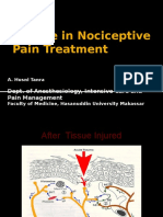 Update in Nociceptive Pain Treatment