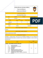 SociedadesMercantiles Programa PDF