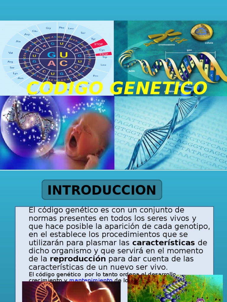 Codigo Genetico | PDF | Codigo genetico | Genética
