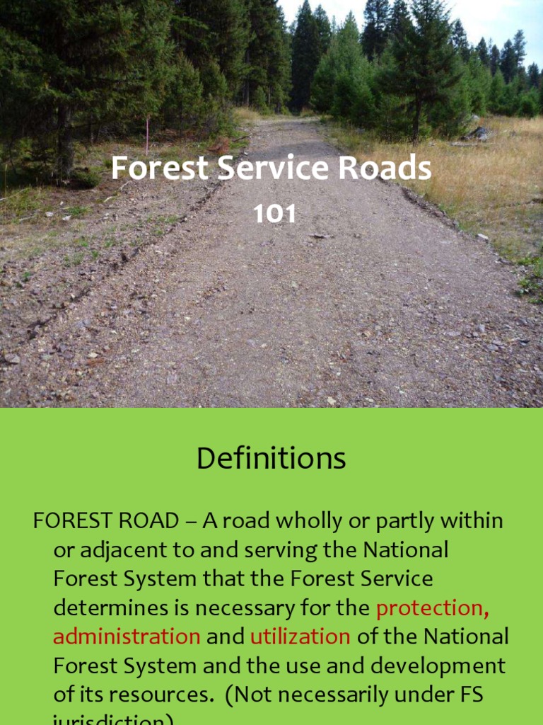 Forest Service Roads 101 Road Traffic