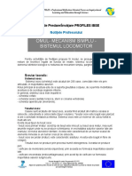 OMUL- MECANISM SIMPLU.pdf