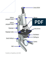 Mikroskop Haha