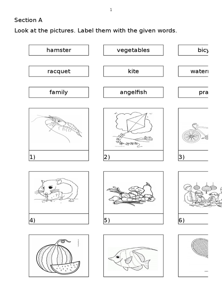 Soalan Bahasa Inggeris Tahun 5 Online - Lamaran P