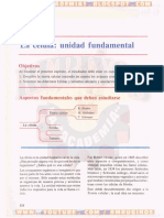 10 - LA CÉLULA - UNIDAD FUNDAMENTAL.pdf