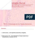 TP 3 Tejidos Dentarios 2012