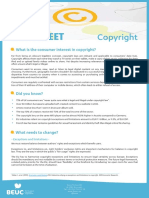 Copyright Factsheet (Beuc)