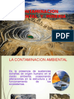 ContamiNacion AmbientAl y MineriA