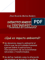 Impacto Ambiental de Un Proyecto