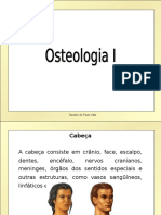 Estruturas ósseas da cabeça e crânio