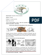 Parcial III