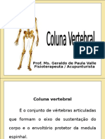 Coluna Vertebral