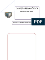 Carpeta Pedagogica