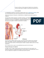 Angiografía coronaria: guía completa