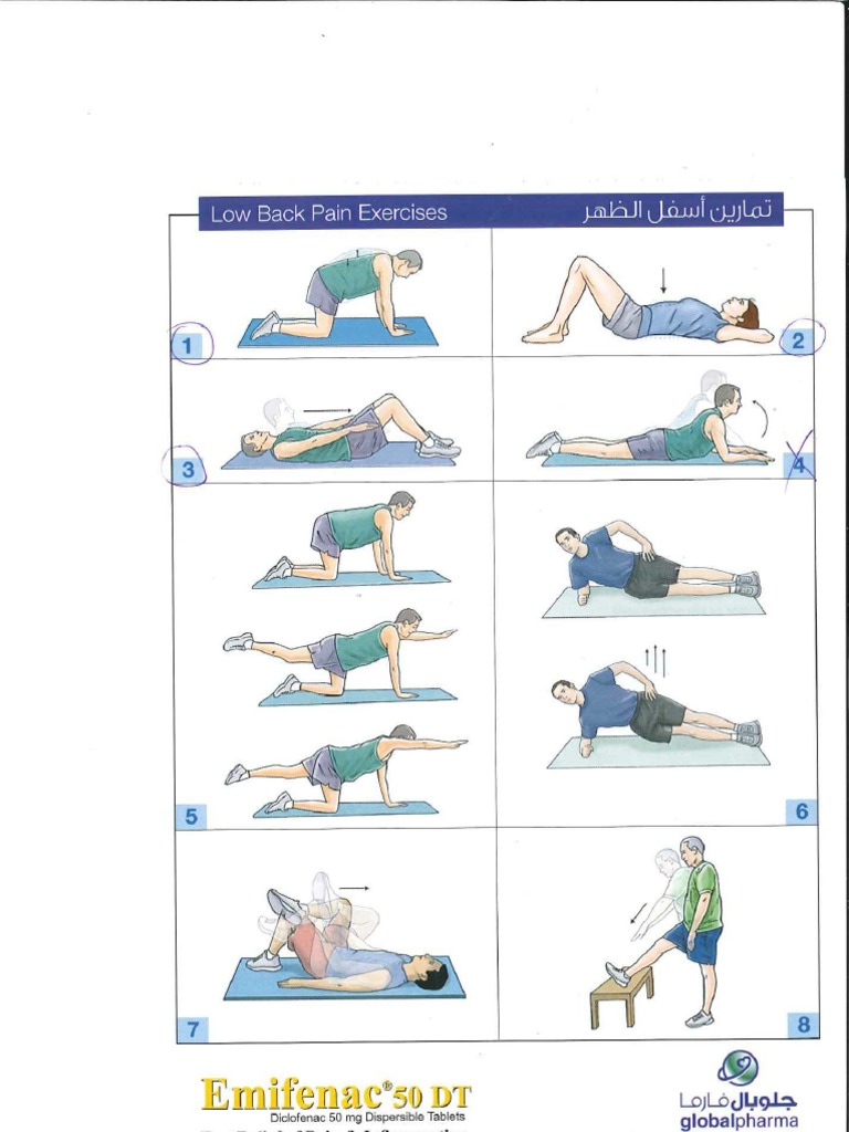 Exercises For Back | PDF