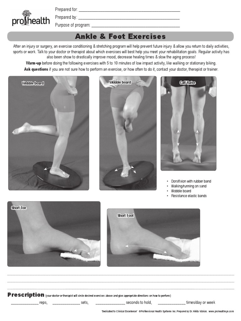 MM SS Ankle Foot | PDF | Human Anatomy | Musculoskeletal System