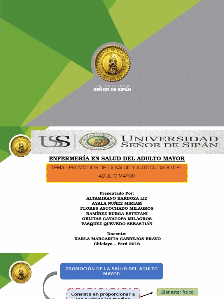 Promoción de La Salud y Autocuidado ADULTO MAYOR | PDF | Adultos | Vejez
