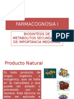 Vias Metabolicas