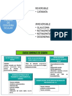 Esquema de Causas de Cegueira Ocular