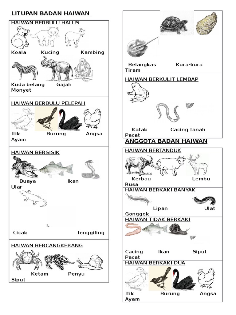 Litupan Badan Dan Anggota Badan Haiwan Pdf