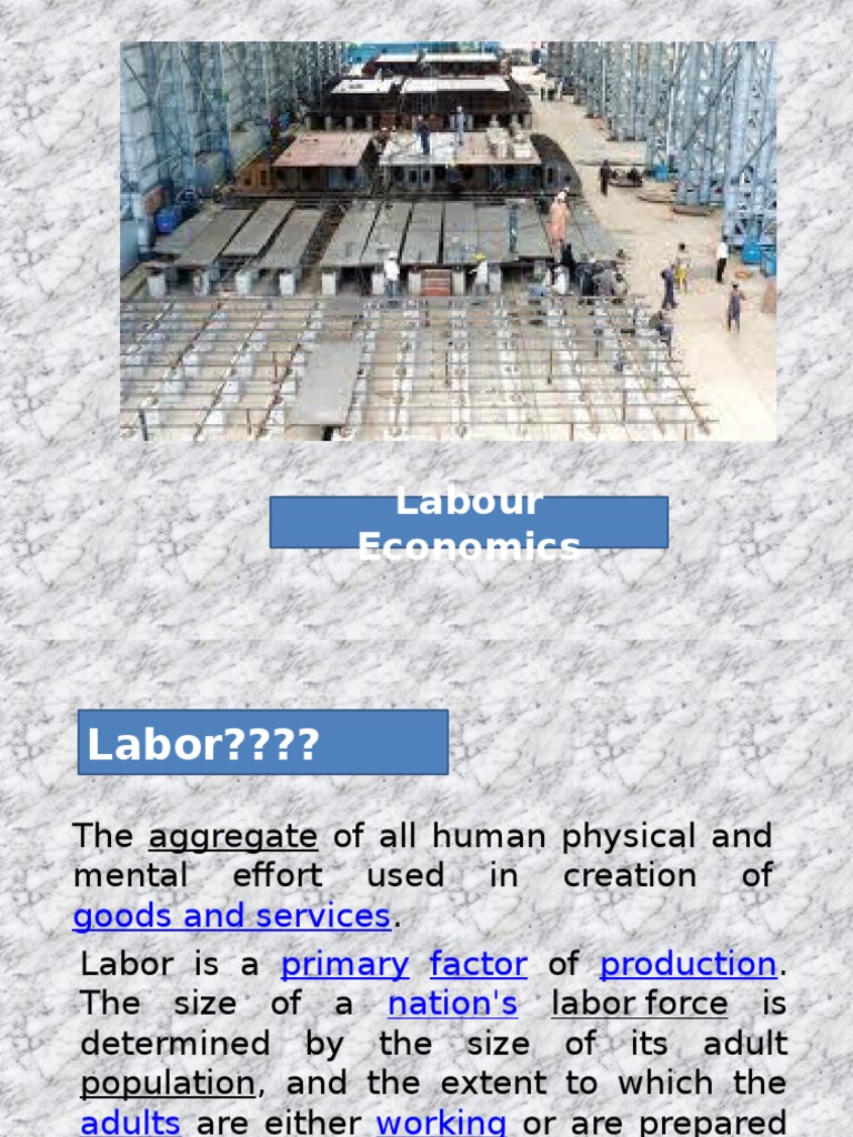 Understanding Labour Economics Basics | PDF | Labour Economics | Economics