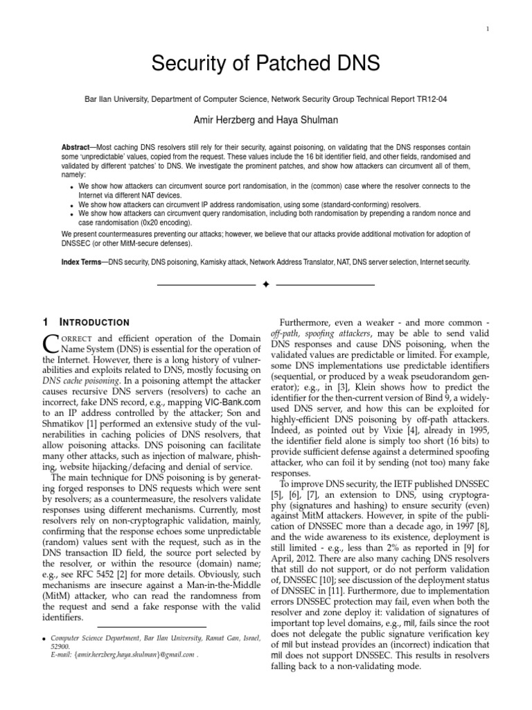 DNS Security: Vulnerabilities and Patches | PDF | Domain Name System ...