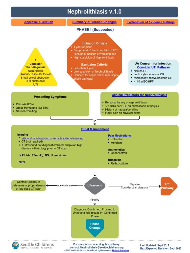 Nephrolithiasis Pathway | PDF | Evidence Based Medicine | Arial