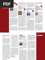 Guix 423 - març 2016