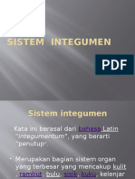 Pengkajian Sistem Integumen