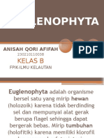 94190930-Euglenophyta-Ppt.pptx
