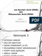 DNA & RNA Kelompok 5