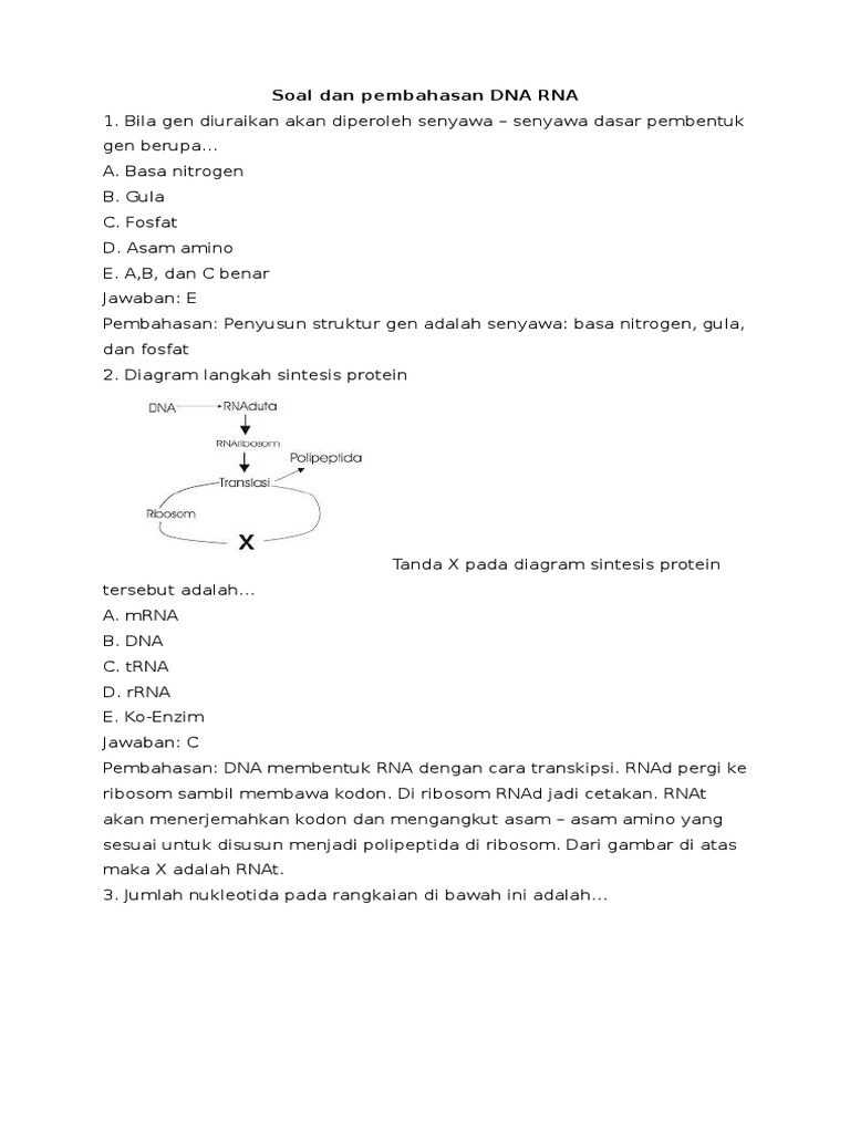 Soal Dan Pembahasan DNA RNA PDF