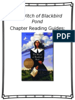 Chapter Reading Guides