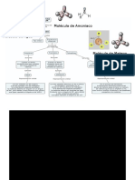 Arquitectura Molecular