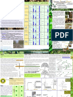 fondarea-livezii-de-nuc.pdf