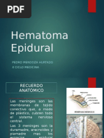 Tipos de Hematomas Cerebrales | PDF | Sistema nervioso | Especialidades ...