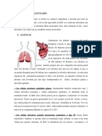 Conductos Alveolares Sacos Alveolares