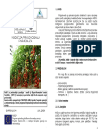 Vodič za proizvodnju Paradajza 2.pdf