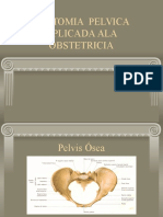 DR Moya Anatomia Pelvica