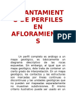 Levantamiento de Perfiles