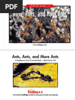 Ants Ants and More Ants PDF