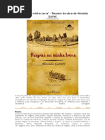 Viagens na minha terra.doc