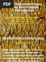 Dermatoseocupacional Causasdiretas 130523130150 Phpapp02