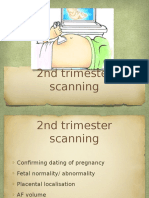 2nd Trimester Scan