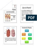 Microsoft PowerPoint Placental 1 (1) (1)