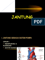 I. Jantung Sebagai Sistem Pompa