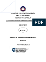 Modul Pjm3172